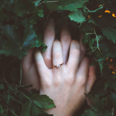 SPRING PROPOSAL | IDEAS                                                                            